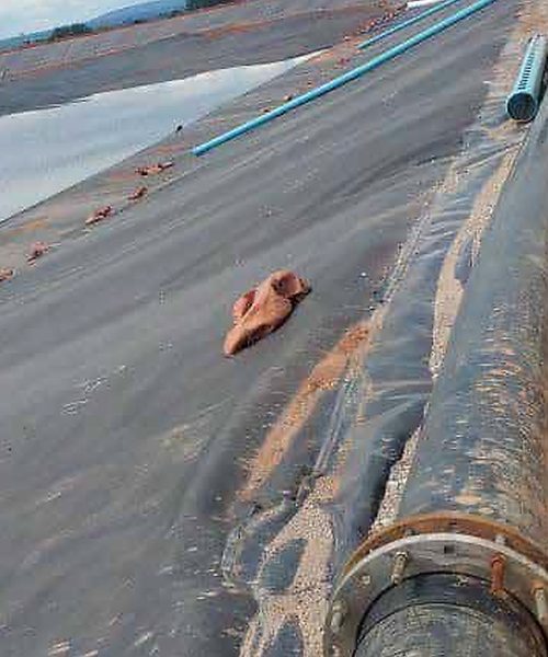 tsf3-pipeline
